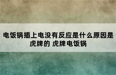 电饭锅插上电没有反应是什么原因是虎牌的 虎牌电饭锅